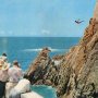 1966 Acapulco - La Quebrada