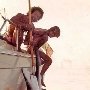 1973 Gerry e Bruno caccia agli squali
